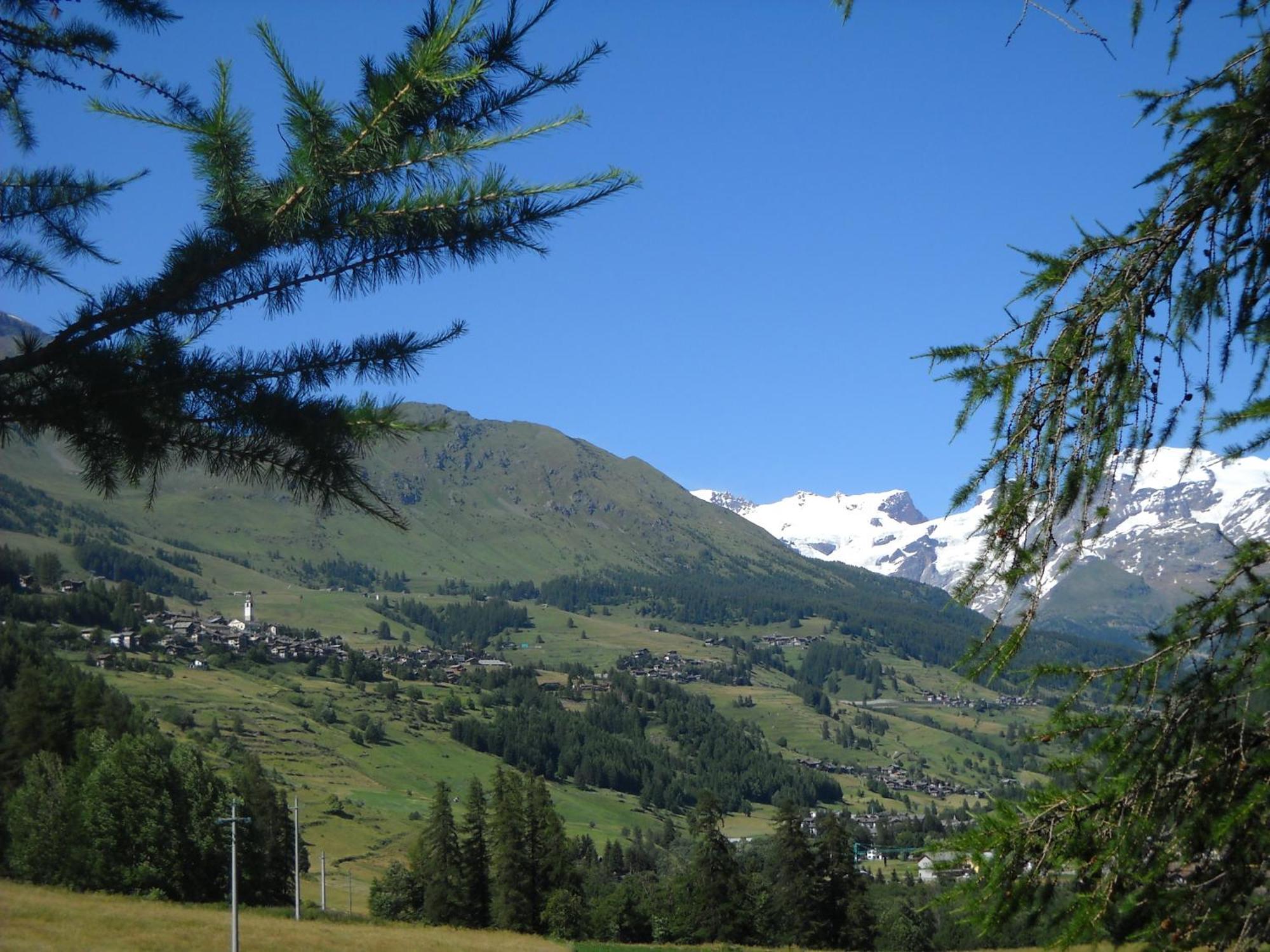 Residence Les Myosotis Champoluc Buitenkant foto