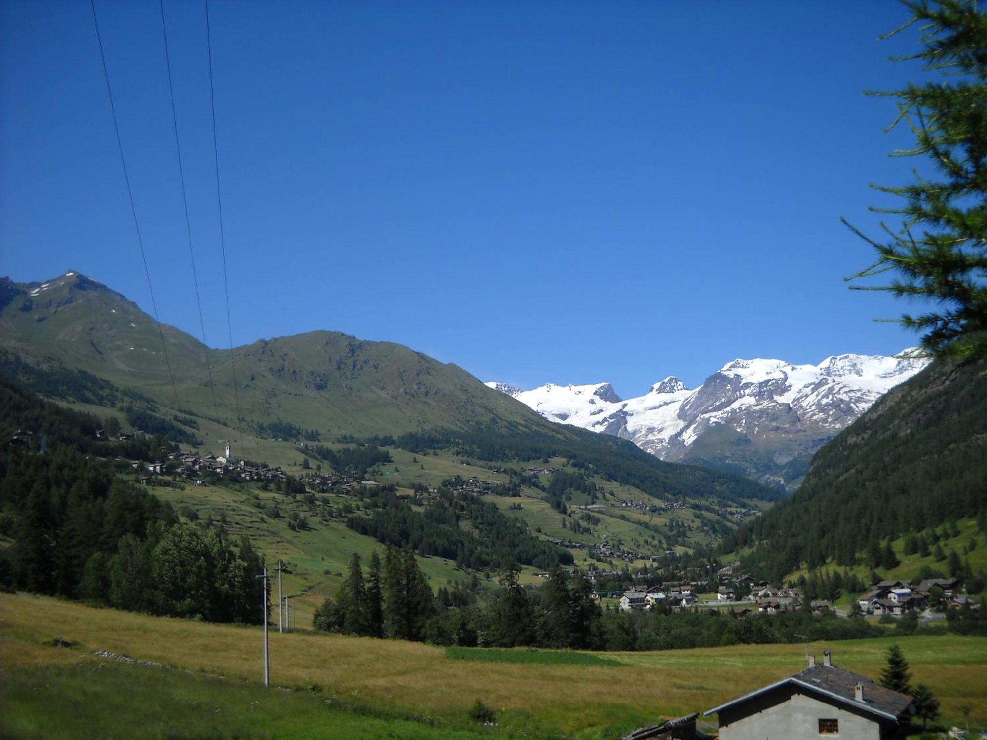 Residence Les Myosotis Champoluc Buitenkant foto